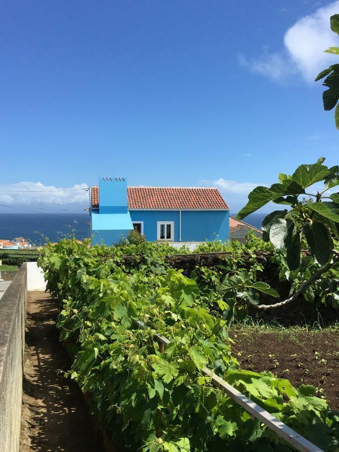 Casa Do Vizinho Βίλα Porto Judeu Εξωτερικό φωτογραφία